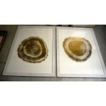 A pair of 'interior designers' gilded prints 29'' x 21'' framed BSR