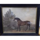 A 19thC equestrian study, a stallion with stables beyond tinted engraving 14.