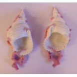 A pair of late Victorian naturalistically moulded ivory coloured and pink glazed,