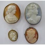 Three similar oval shell carved cameo brooches,