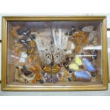 Taxidermy, a display of butterflies and beetles, in a gilded,