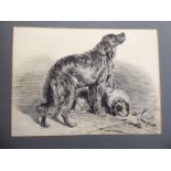 E Milbury - a study of two dogs pastel bears a signature & dated 1904 13'' x 17'';