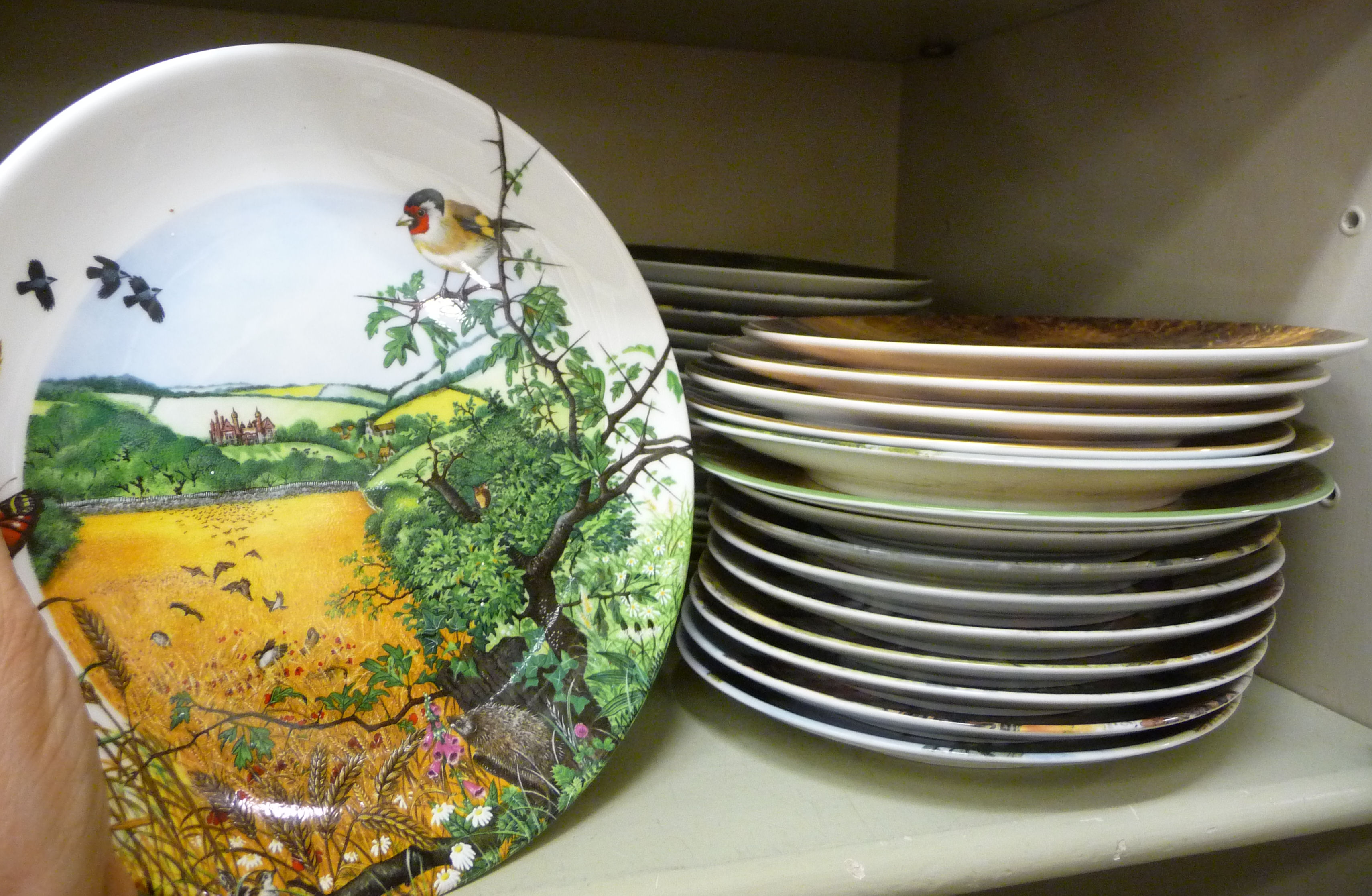 Modern pictorial ceramic wall plates approx.