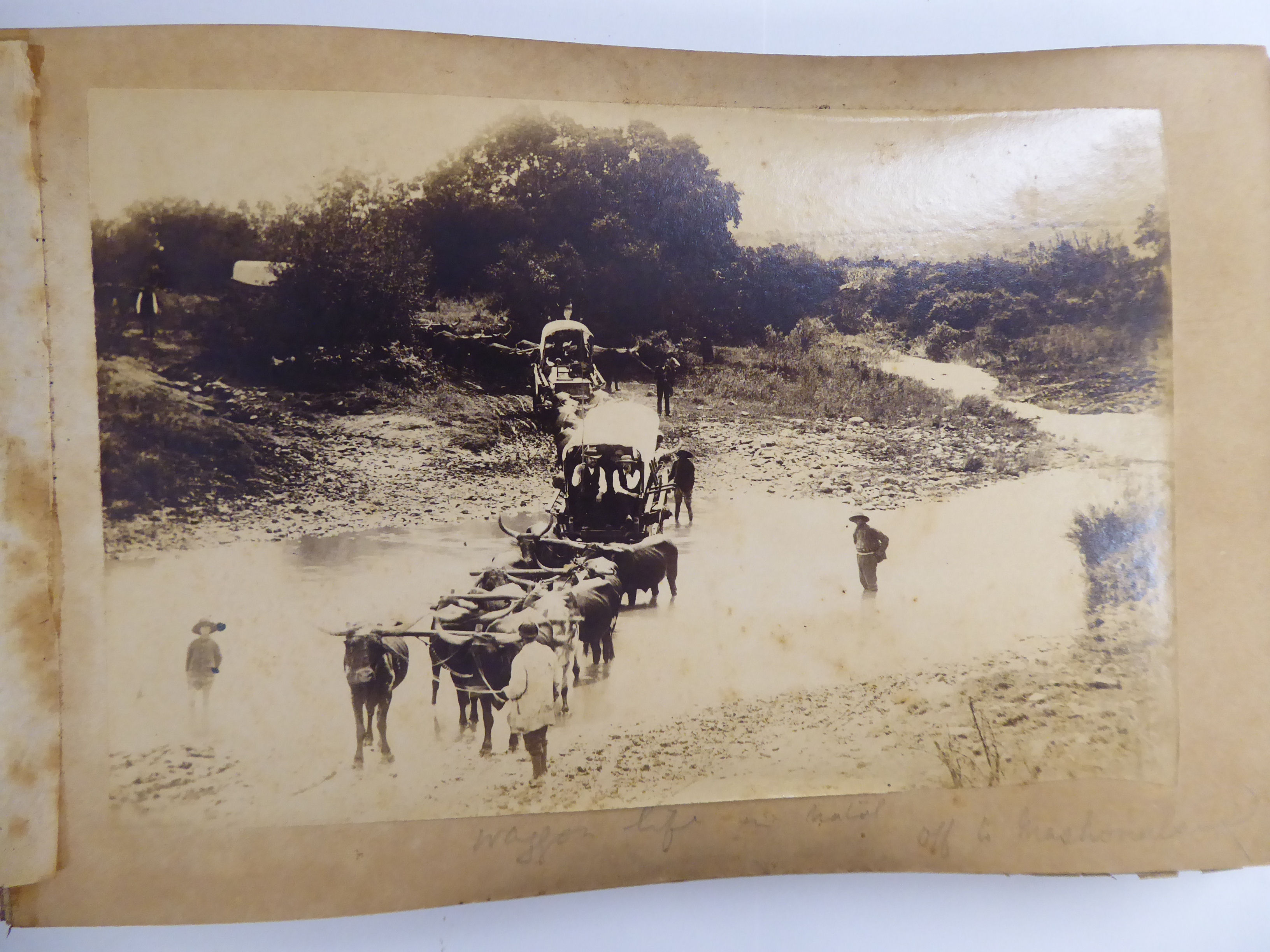 A late 19thC album of monochrome photographs, featuring subjects in Natal, - Image 2 of 10