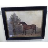 A 19thC equestrian study - a stallion with stables beyond coloured engraving 14.