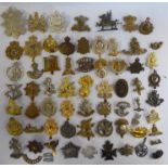 Approx fifty military cap badges and other insignia,