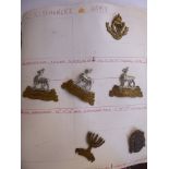 Approx fifty military cap badges and other insignia,