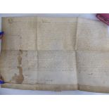 A 16thC (unidentified) handwritten on parchment document in Latin text,