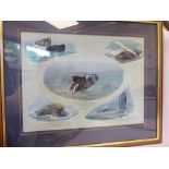 Philip Huebsch - 'Southern Right Whale Behaviour' four vignette studies watercolours bearing