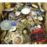 An uncollated collection of military, associated and other badges,