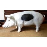 A composition painted model pig 17''h 46''L F