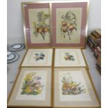 Eight framed pictures: to include a series of four 'Wild Flowers of the Waterways and Marshes'