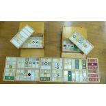 Two microscope slide boxes,