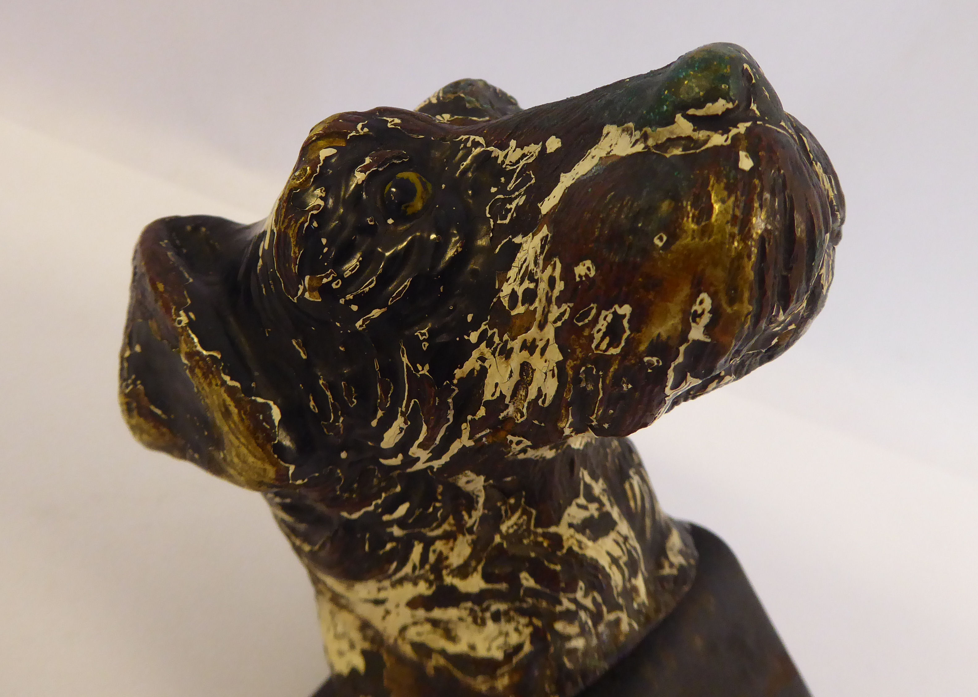 An early 20thC painted cold cast bronze mascot, a terrier's head 2. - Image 4 of 6