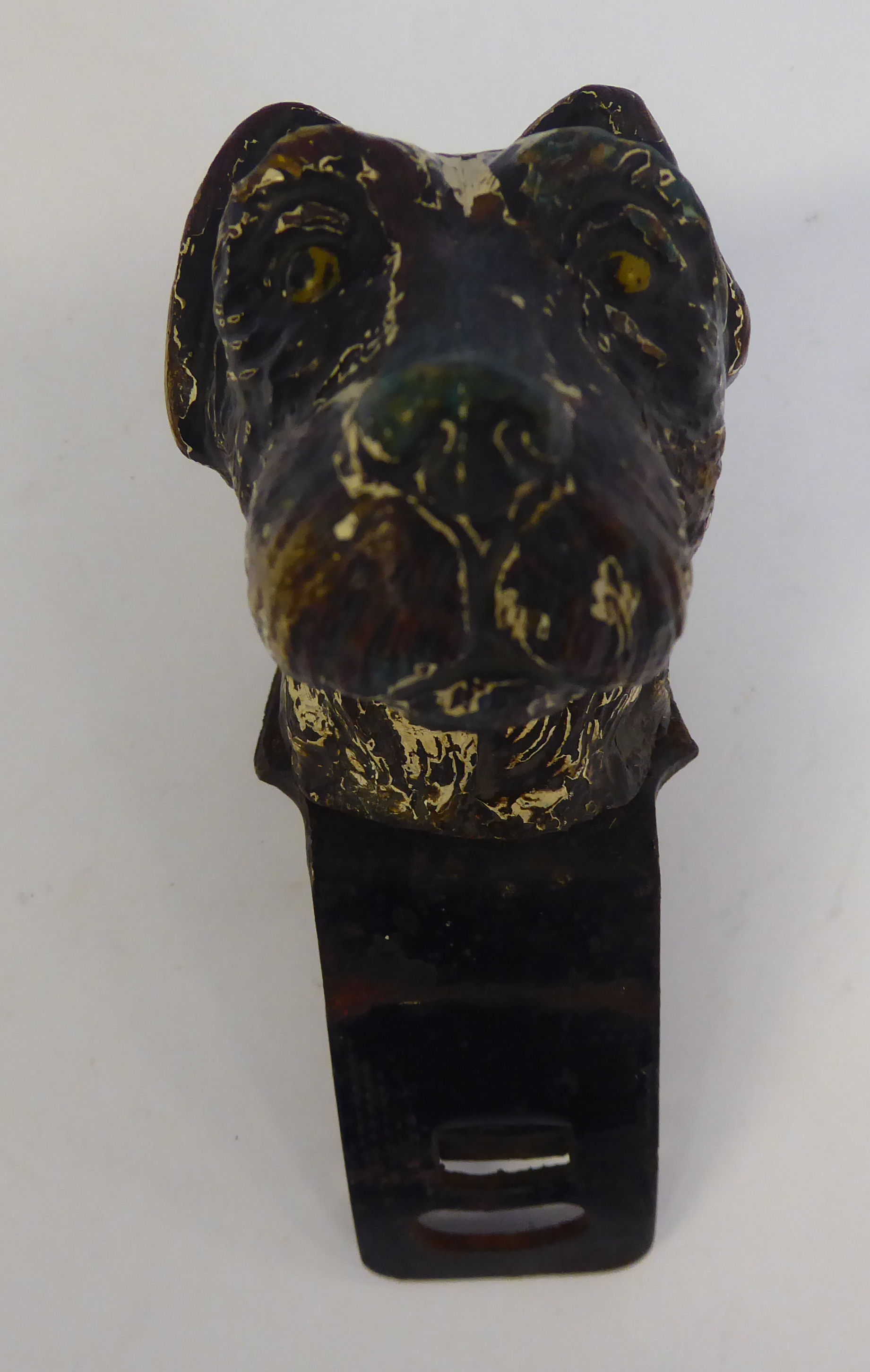 An early 20thC painted cold cast bronze mascot, a terrier's head 2.