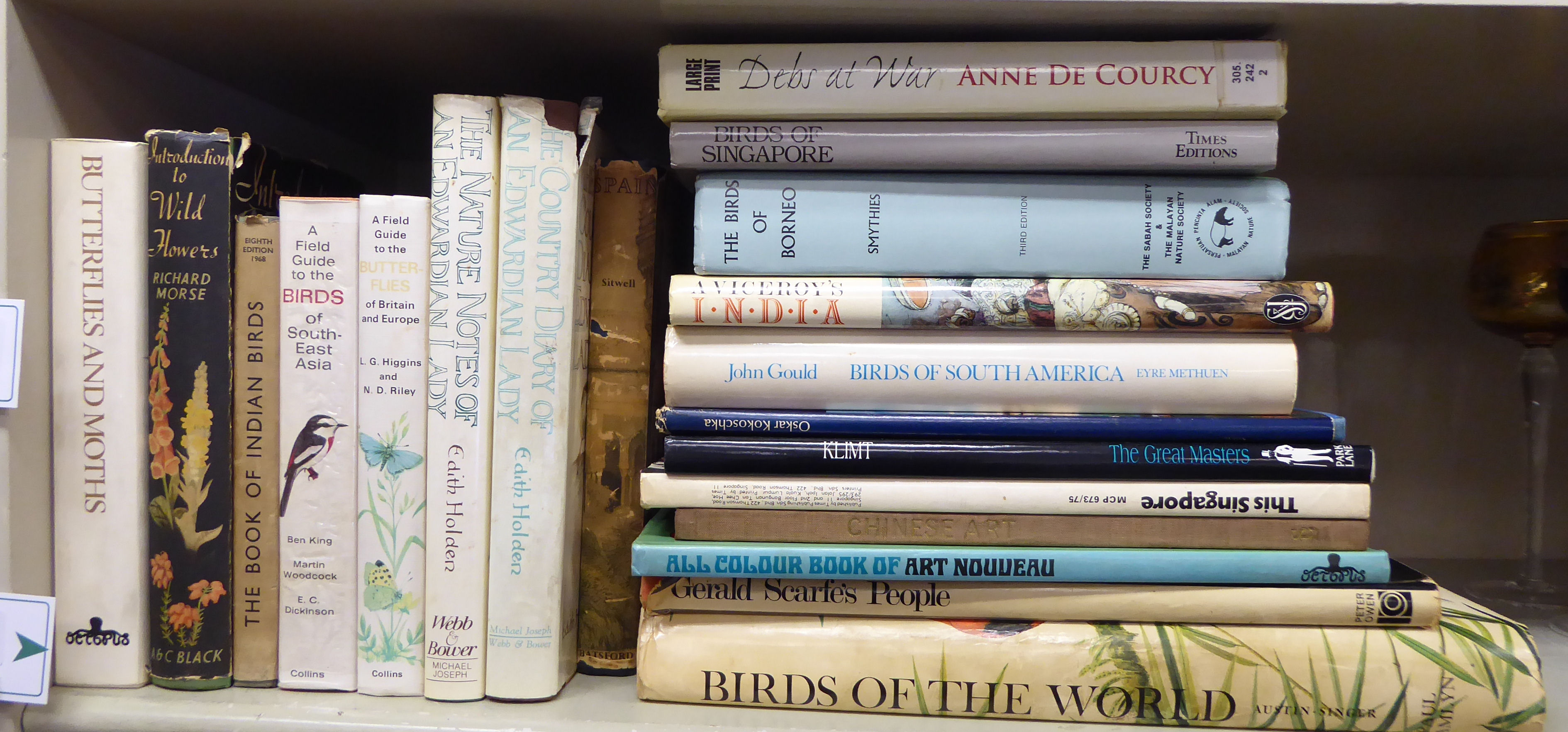 Books, bird, plant,