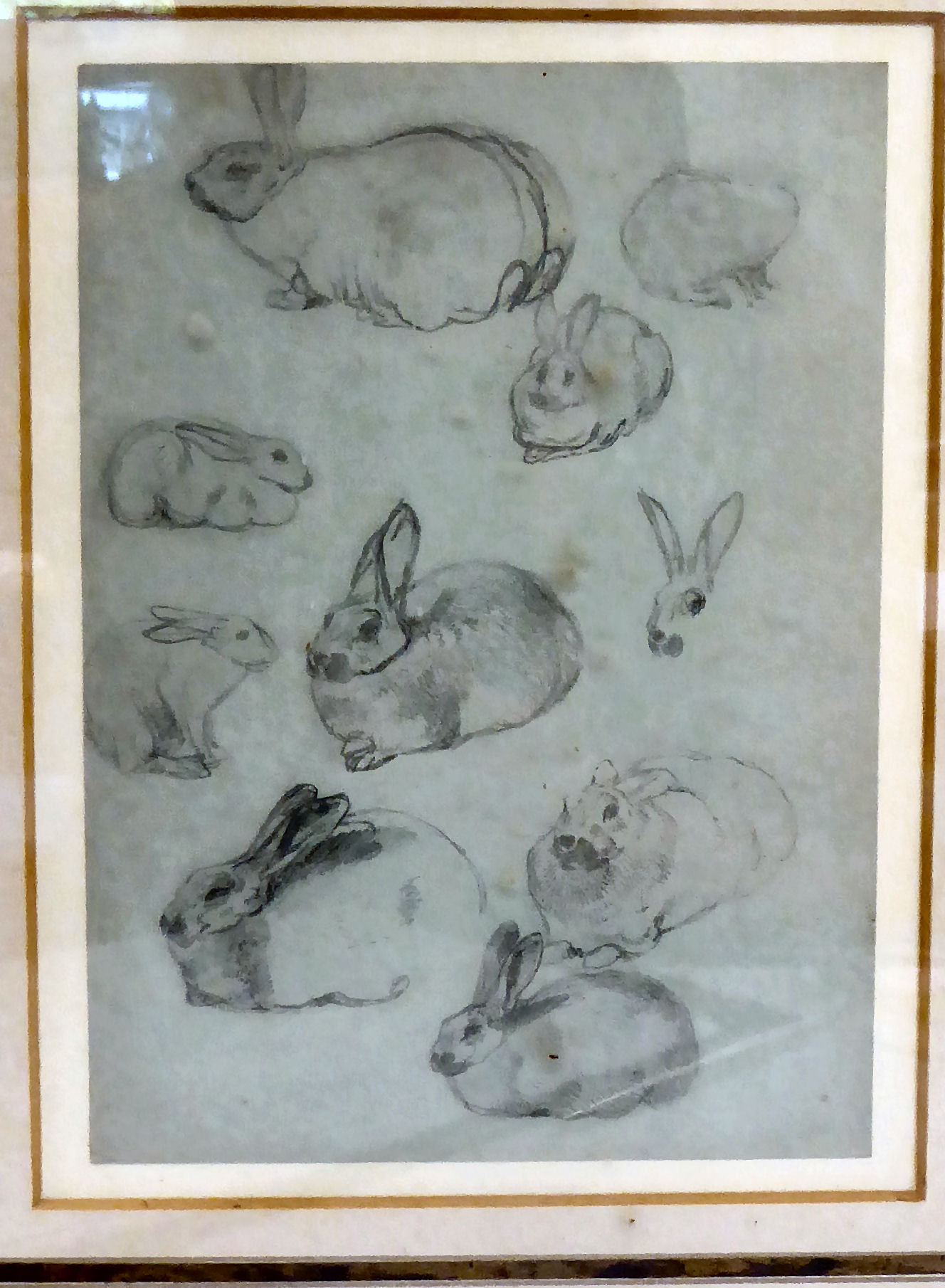 Attributed to Joseph Wolf - a study sheet of hares pencil drawings 6.5'' x 4.