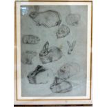 Attributed to Joseph Wolf - a study sheet of hares pencil drawings 6.5'' x 4.