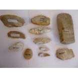 Eleven dissimilar Upper Paleolithic irregularly rough-cut,