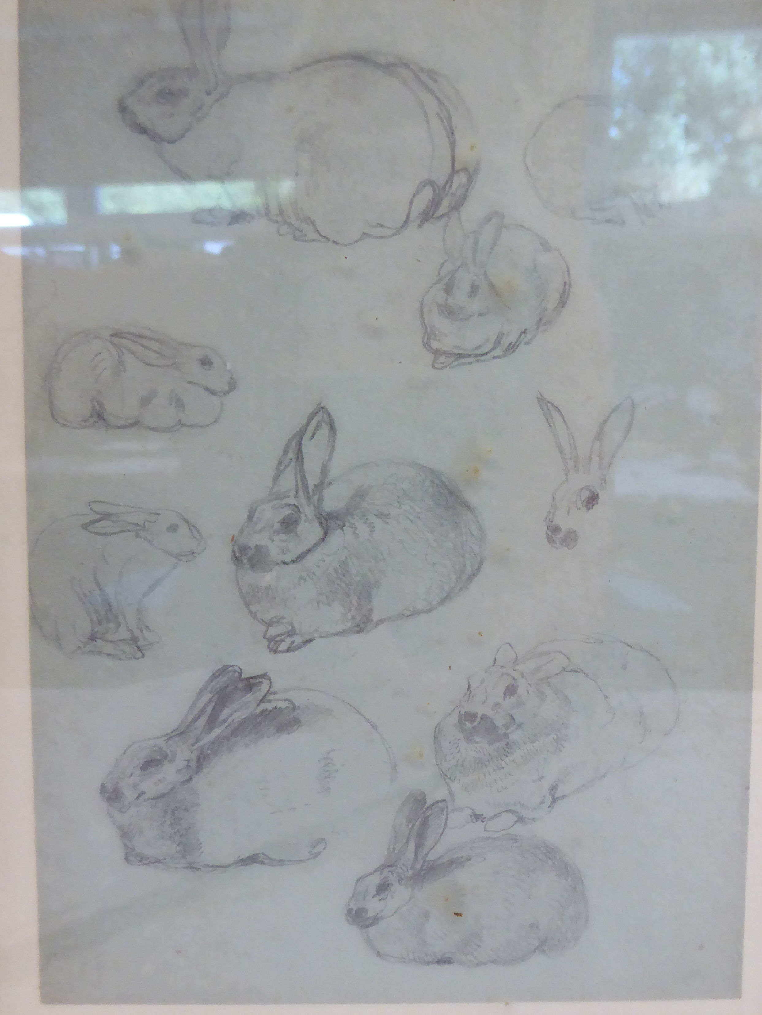 Attributed to Joseph Wolf - a study sheet of hares pencil drawings 6.5'' x 4. - Image 3 of 5