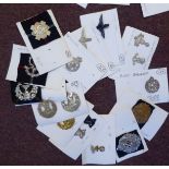 Approximately fifty-five military cap badges and other insignia,