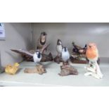 Carved and painted wooden model hedgerow birds: to include a songthrush,