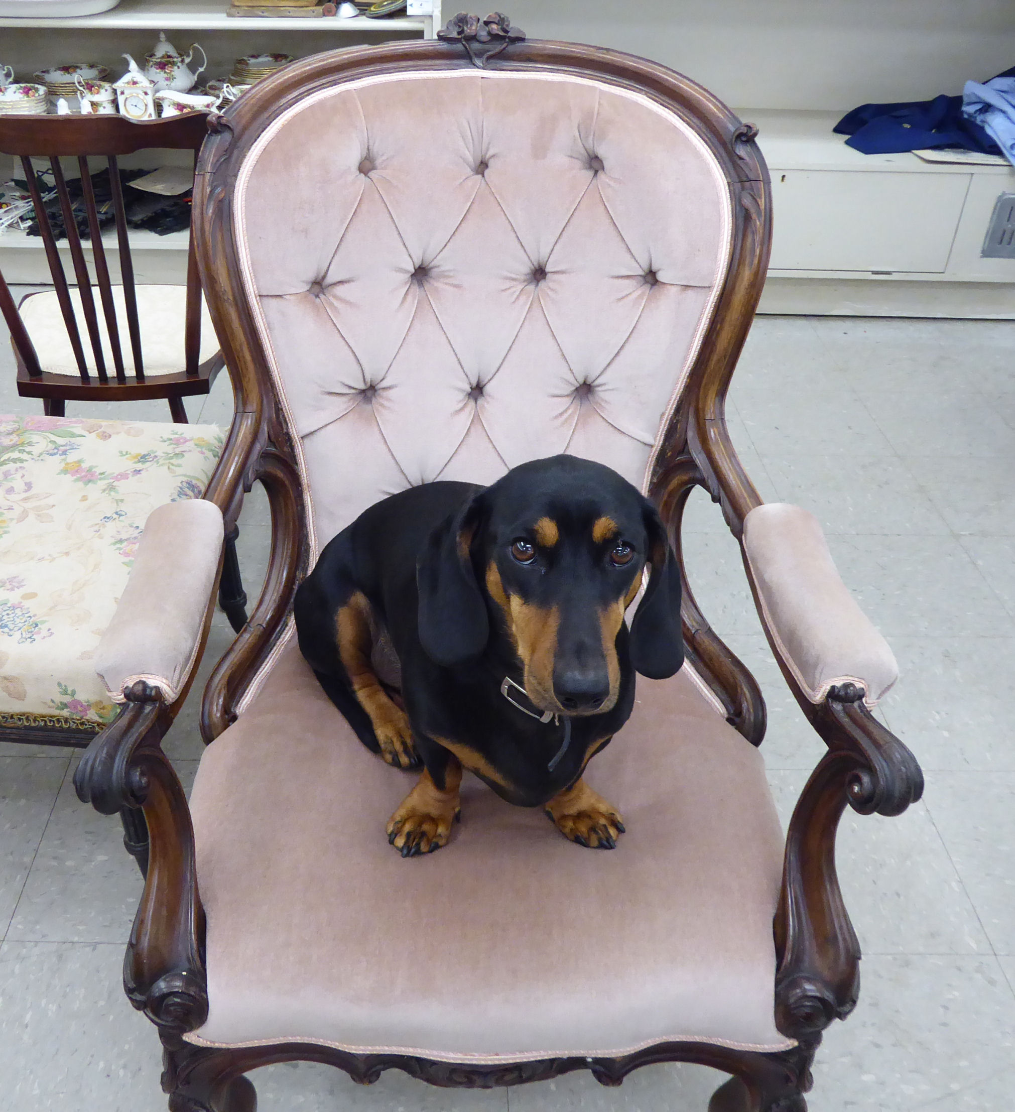 A late Victorian carved rosewood framed salon chair, the part-button upholstered back, - Image 2 of 2