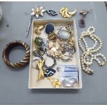 Costume jewellery: to include brooches and necklaces OS2