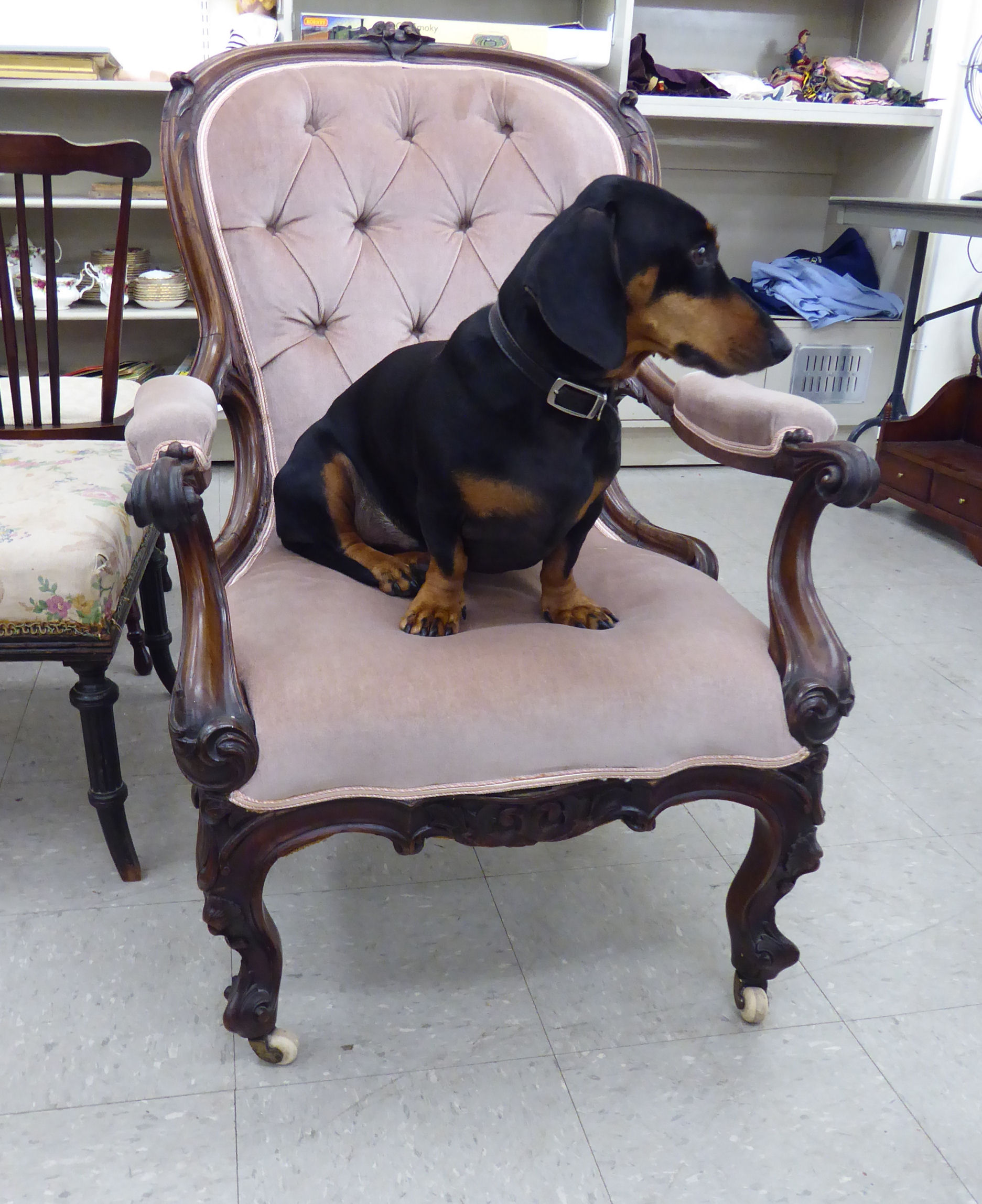 A late Victorian carved rosewood framed salon chair, the part-button upholstered back,