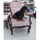 A late Victorian carved rosewood framed salon chair, the part-button upholstered back,