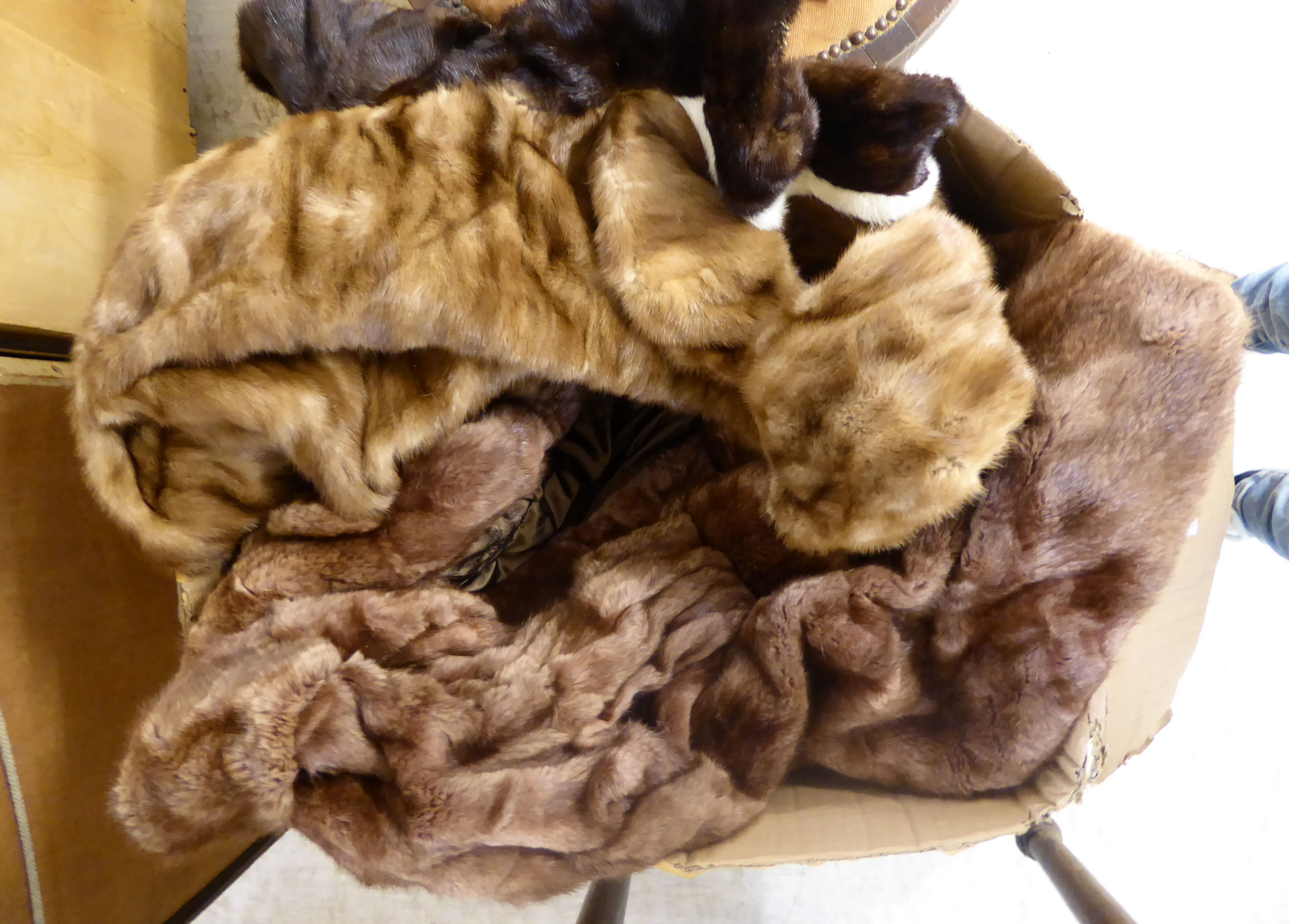 'Vintage' fur clothing: to include a 1950s James Smith Furriers musquash jacket BSR