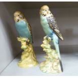 Two Beswick pottery models, each fashioned as a budgerigar no.1216 and no.