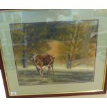 Clive Stephens - 'Autumn Stag' watercolour bears a signature & exhibition label verso 16'' x