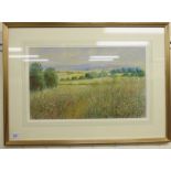 Pamela Hughes - 'Summer Fields' pastel bears a signature 13'' x 20'' framed LSM