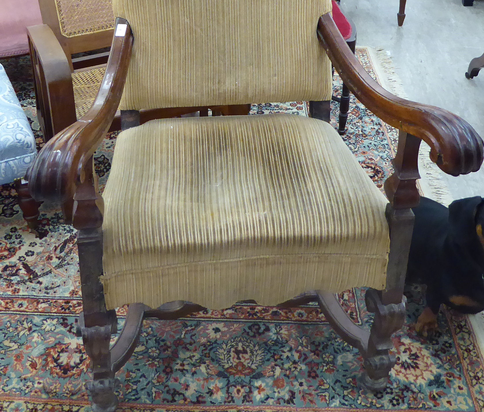 A late 19thC Continental walnut framed hall chair with a high back and open, scrolled arms, - Image 2 of 2