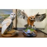 Two Franklin Mint porcelain models, viz. a 'Screech Owl' 13''h; and a 'Barn Owl' 9.