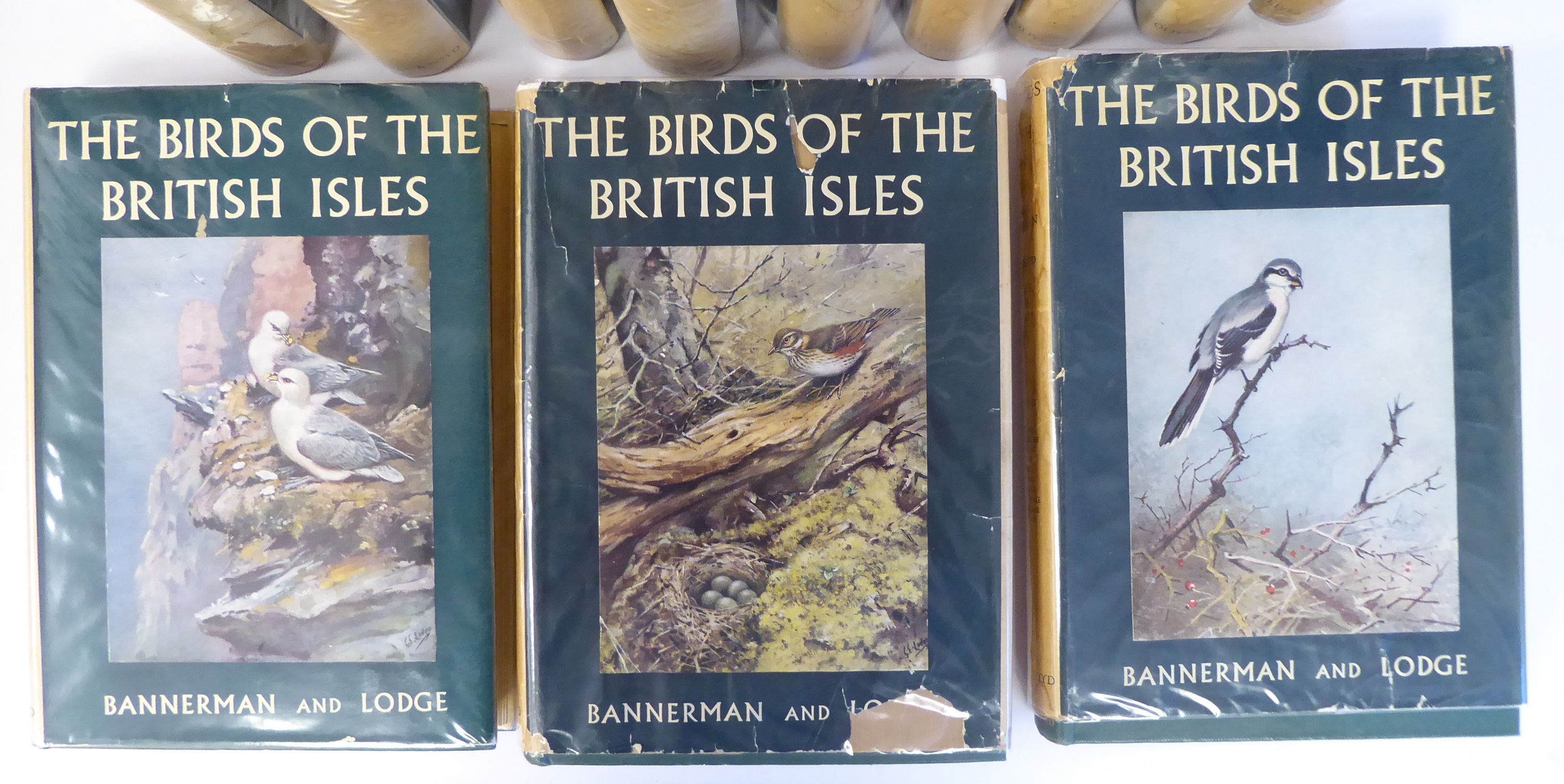 Books: 'The Birds of The British Isles' by David Armitage Bannerman, illustrated by George E Lodge, - Image 2 of 6