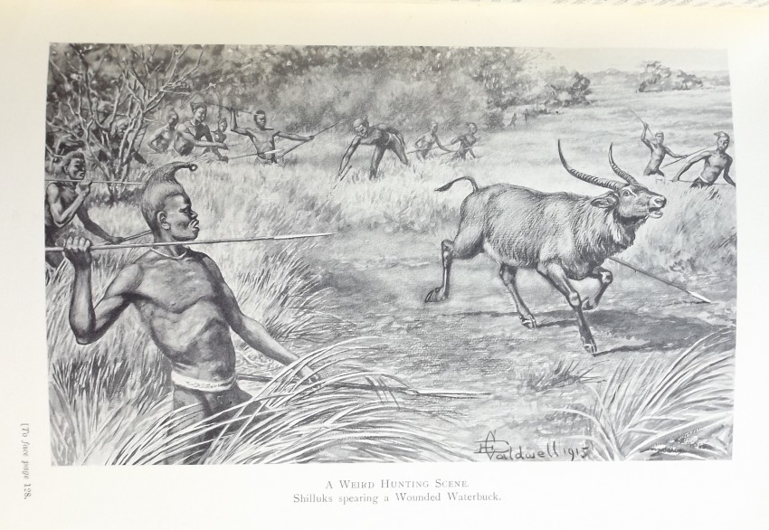 Abel Chapman SAVAGE SUDAN 1 volume. First edition in half-leather. xx, frontispiece [map], 452 - Image 4 of 4