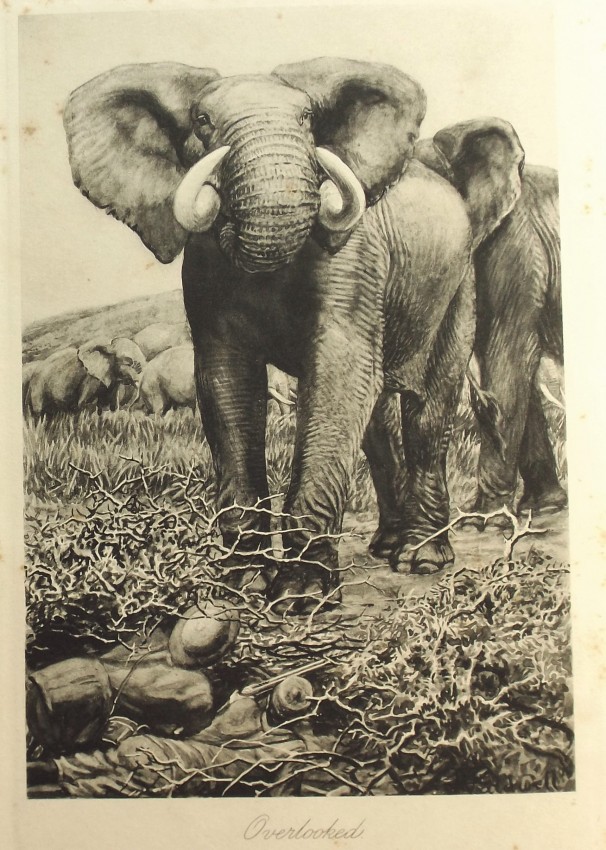 Abel Chapman ON SAFARI 1 volume. Copy with Chavasse signature. https://en.wikipedia.org/wiki/