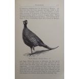 A. H. Evans Birds1 volume. From the library of David Armitage Bannerman, signed and with a written