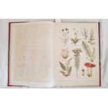 LECLERC DU SABLON NOS FLEURS PLANTES UTILES ET NUISIBLESVolume of 1880 circa about useful and