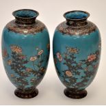 Pair of Japanese cloisonne vases, each with turquoise bodies of tapering ovoid form,