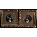 Wilson Hepple (1853-1937) Portraits of kittens, signed and dated '08, oil on board, 14cms; 5 1/2in.