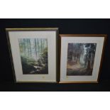 Pastel drawings, by Robert Turnbull - woodland scenes, both signed.