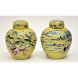 Pair of yellow enamel ground oval shape vases and covers,