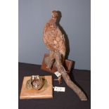 Taxidermy: a stuffed and mounted hen pheasant sitting on a branch,