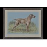 Mary Browning - a portrait of a hound, signed and dated '72, pastel on grey tinted paper, 40.5 x 57.