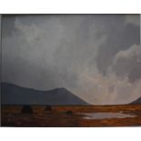 Hugh O'Neil - Irish bog landscape, oil on canvas,