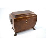 A Regency satinwood edged burr tea caddy with twin lidded compartments, on cast paw feet,