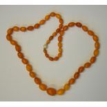 A row of graduated pressed amber beads with magnetic snap,
